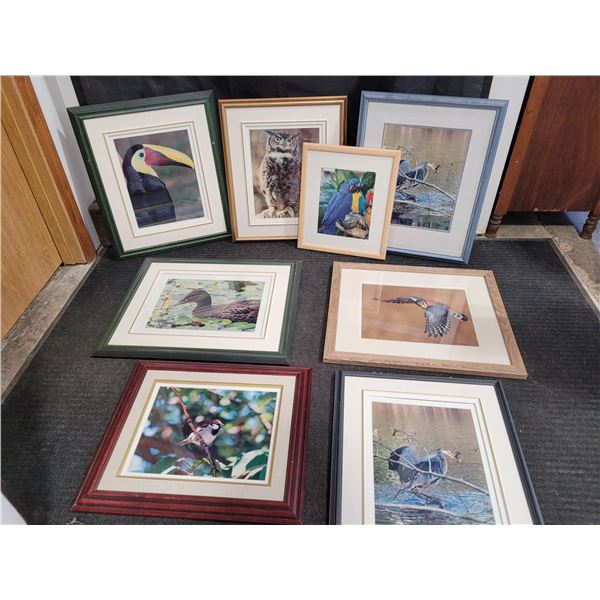 Framed Bird Prints