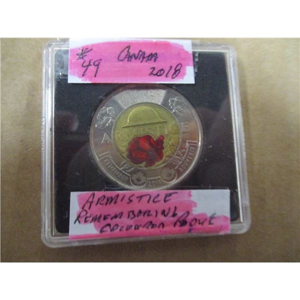 2019 ARMISTICE REMEMBERING COLORED POPPY