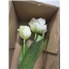Image 2 : ESTATE:  FLOWER & POT IN ORIGINAL BOX