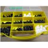 Image 2 : ORGANIZER TRAY C/W PLASTIC PINS