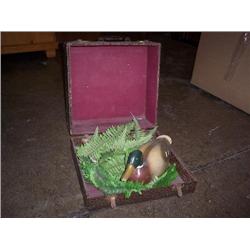 Duck in box (cute)