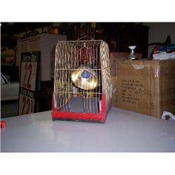 Bird cage w/ camers