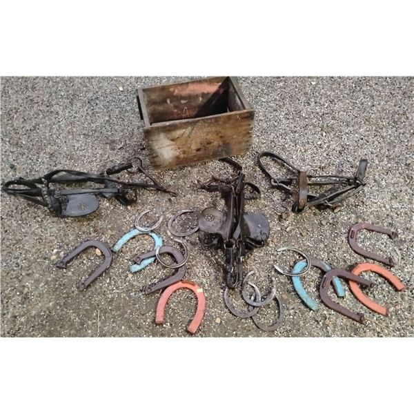 Equestrian Accessories