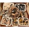 Image 1 : Rock Box- Assortment of Rocks & Sea Shells
