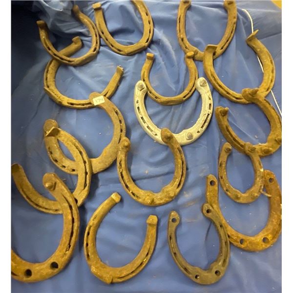 Lucky Antique Horse Shoes Collection