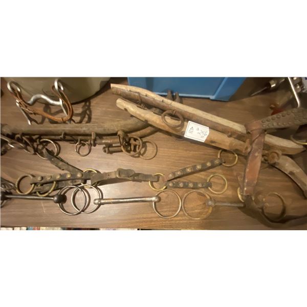 Assorted Equestrian Tack