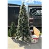Image 1 : CHRISTMAS TREES!