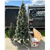 Image 2 : CHRISTMAS TREES!