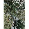Image 8 : CHRISTMAS TREES!