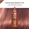 Image 1 : NEW CLAIROL SEMI PERMANENT COLOR CEDAR RED BROWN