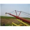 Image 8 : Farm King PTO Auger w/ Swing Away Hopper, Hydraulic Lift