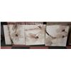 Image 1 : SET OF 3 PRINTS ON CANVAS (FLOWER)
