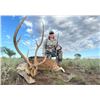 Image 7 : Argentina Big Game Hunt (La Pampa/Patagonia)