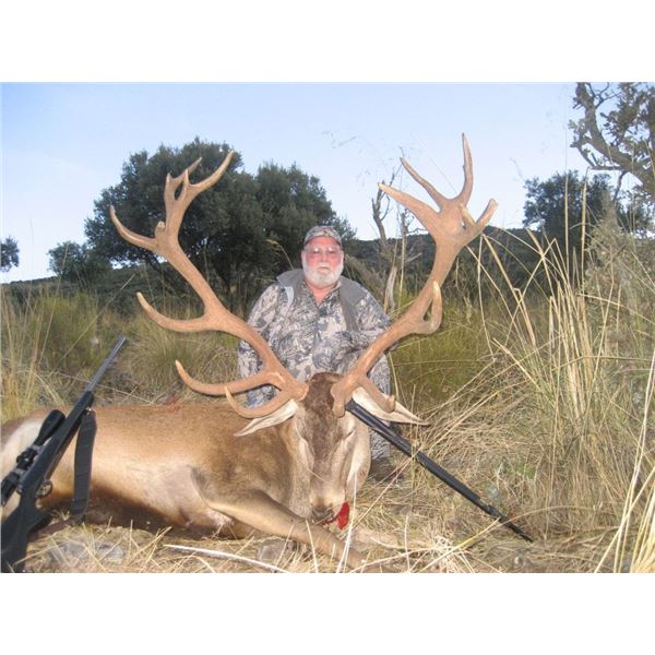 Spain - Iberian Red Deer (Stag)