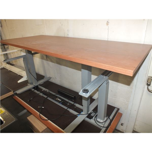 Electric Adjustable Desk