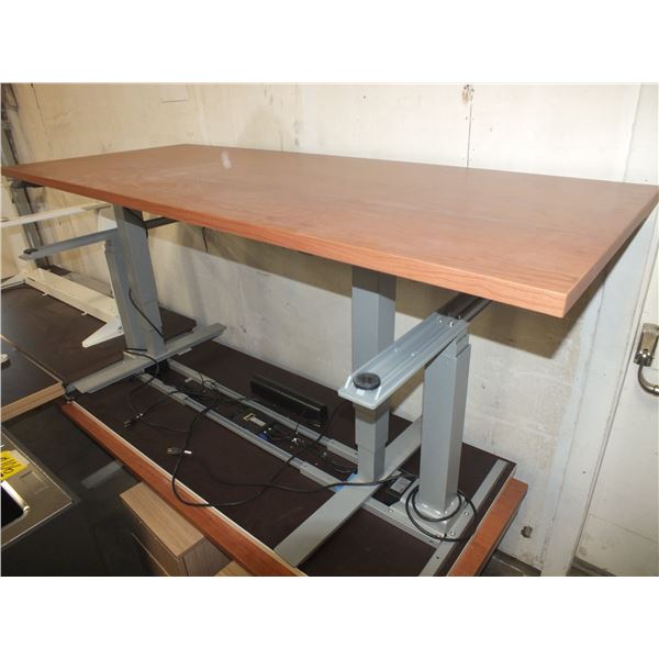 Electric Adjustable Desk