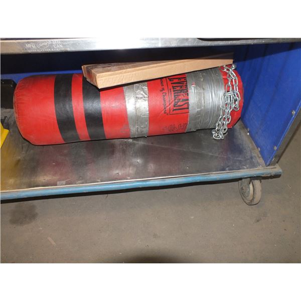 Punching Bag