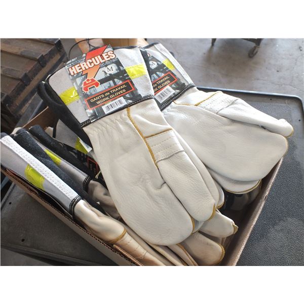 12 Pairs Of Med work Gloves