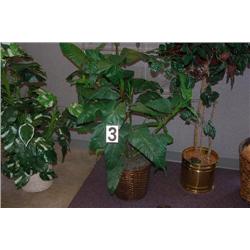 SILK TROPICAL PLANT IN NATURAL WICKER POT