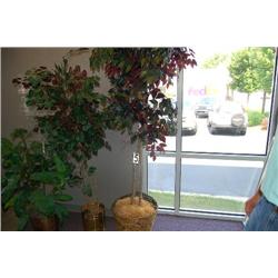 SILK FICUS PLANT IN NATURAL WICKER POT