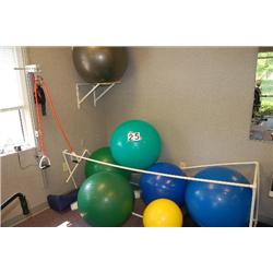 9 EXERCISE BALLS