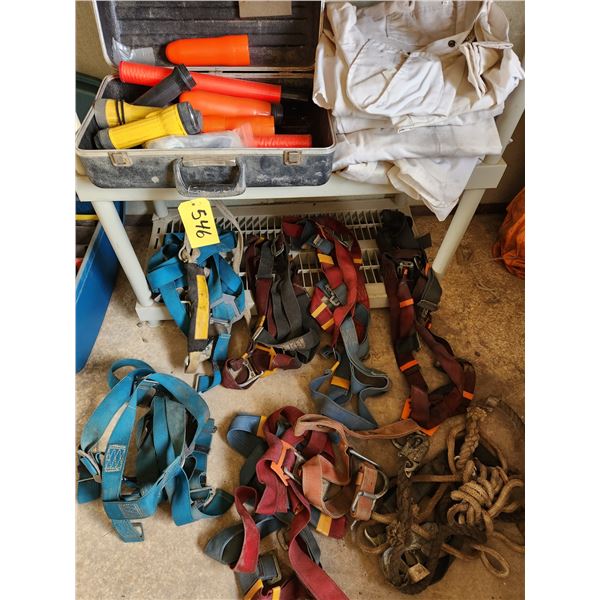 Safety harnesses, safety lighting and coveralls