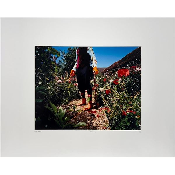 Steve Hiett Flowers Gardening Nature