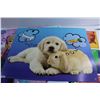 Image 6 : (10+) Assorted Posters (Frozen, Cute Animals) and Christmas Decoration