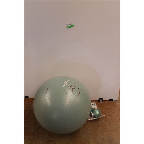 (3) Exercise Balls