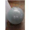 Image 5 : (3) Exercise Balls