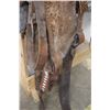 Image 3 : * 14.5" Roping Saddle, Double Rigging, 6" Gullet Width, Rawhide Covered Wood Tree, Felt Pad - STAND 