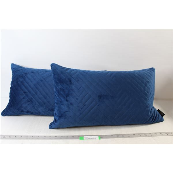 (2) Rachel Zoe Blue Pillows