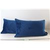 Image 1 : (2) Rachel Zoe Blue Pillows