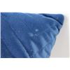 Image 3 : (2) Rachel Zoe Blue Pillows