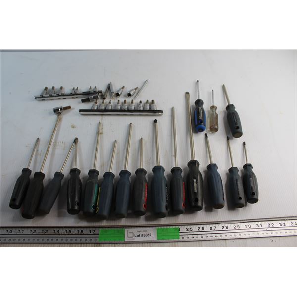 (17) Assorted Screwdrivers and Assorted Torx Sockets