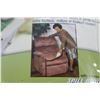 Image 3 : (3) Portable Seat Protectors (brown - NIB - 22" x 21")