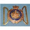 Image 17 : #2 ALBERTA POLICE CALGARY EDMONTON 44 BADGE LOT
