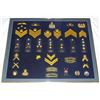 Image 1 : #54 ROYAL CANADIAN MOUNTED POLICE  36 INSIGNIA LOT