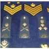 Image 3 : #54 ROYAL CANADIAN MOUNTED POLICE  36 INSIGNIA LOT