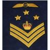 Image 9 : #54 ROYAL CANADIAN MOUNTED POLICE  36 INSIGNIA LOT