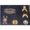 Image 10 : #55 ROYAL CANADIAN MOUNTED POLICE  42 INSIGNIA LOT