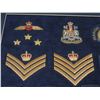 Image 2 : #55 ROYAL CANADIAN MOUNTED POLICE  42 INSIGNIA LOT