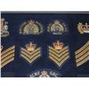 Image 3 : #55 ROYAL CANADIAN MOUNTED POLICE  42 INSIGNIA LOT