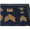 Image 4 : #55 ROYAL CANADIAN MOUNTED POLICE  42 INSIGNIA LOT