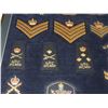 Image 5 : #55 ROYAL CANADIAN MOUNTED POLICE  42 INSIGNIA LOT