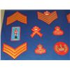 Image 10 : #56 ROYAL CANADIAN MOUNTED POLICE  36 INSIGNIA LOT