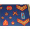 Image 7 : #56 ROYAL CANADIAN MOUNTED POLICE  36 INSIGNIA LOT