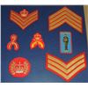 Image 8 : #56 ROYAL CANADIAN MOUNTED POLICE  36 INSIGNIA LOT