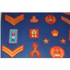 Image 9 : #56 ROYAL CANADIAN MOUNTED POLICE  36 INSIGNIA LOT