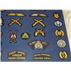 Image 7 : #57 ROYAL CANADIAN MOUNTED POLICE  61 INSIGNIA LOT